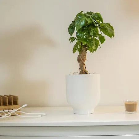 Appartement Full House - The Jungle - Netflix, Wifi Inkl